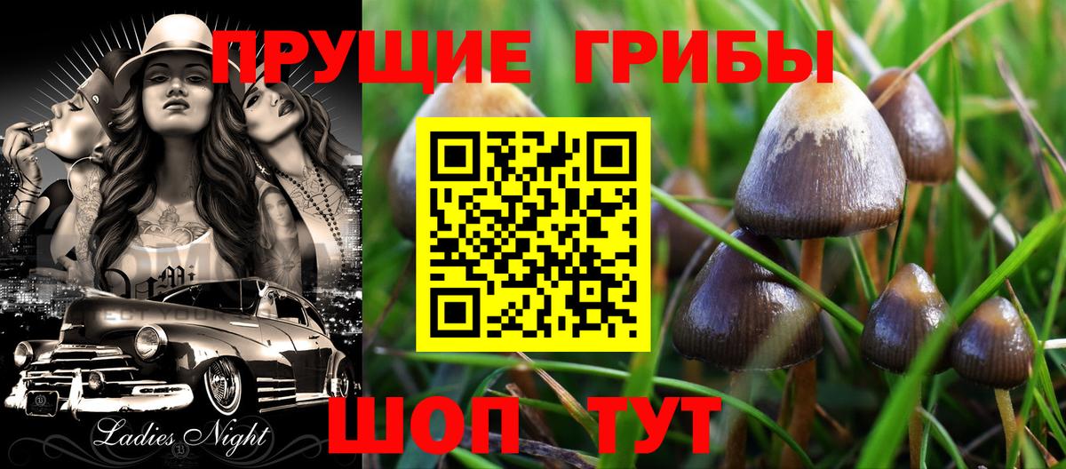 Псилоцибиновые грибы мухоморы Татарск