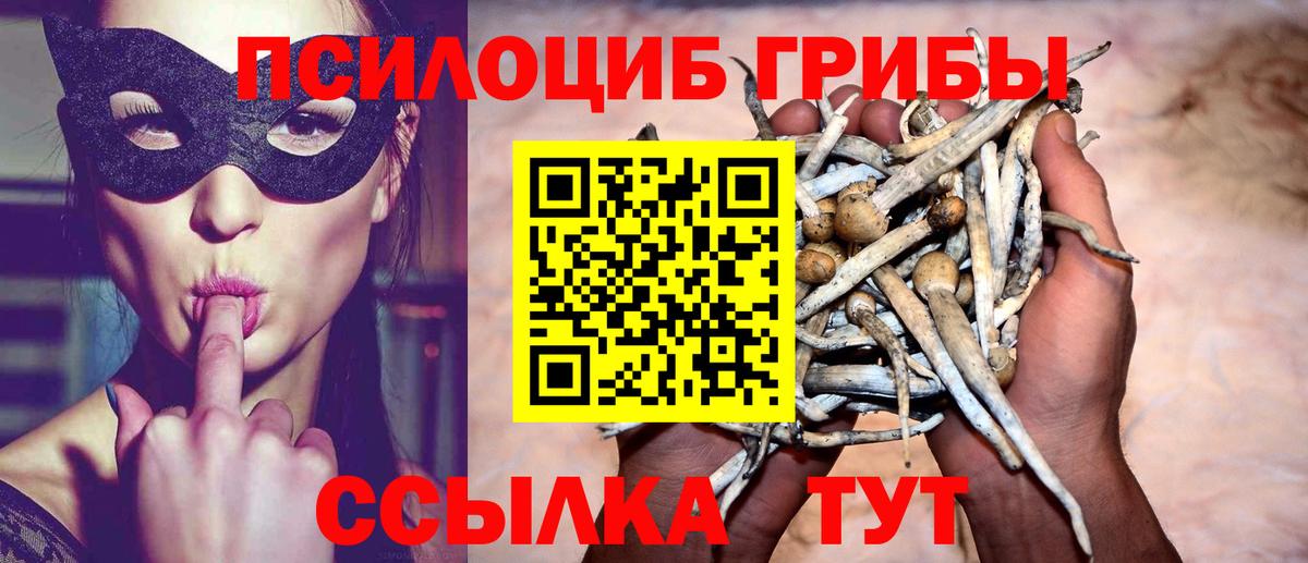 Татарск  Галлюциногенные грибы прущие грибы  Вход с VPN  Псилоцибиновые грибы MAGIC MUSHROOMS 